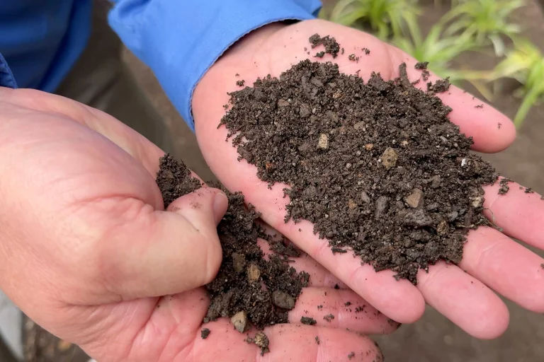 Soil in Hand