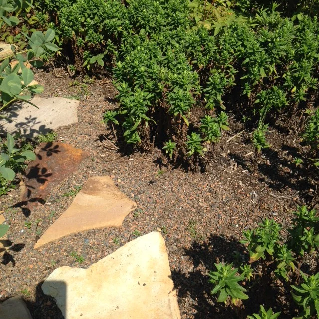 Contractor, Pyramid Constructors, placed material in one continuous pour.